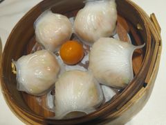 -点都德·毕德寮