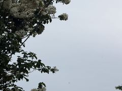 -苏州上方山国家森林公园