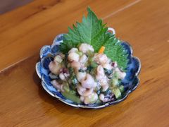 -石葵(锦业时代店)