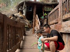 -长鹿旅游休博园
