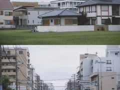 -奈良公园