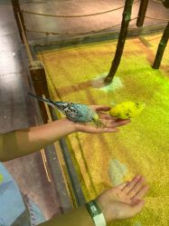 -酷嗒动物文化乐园(cutezoo西溪乐天城店)