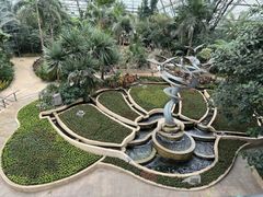 -南山植物园