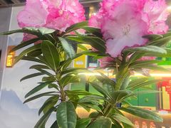 -清真·胖妈妈手抓餐厅(定西路长城宾馆店)