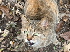 -终南山南五台景区