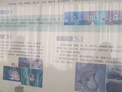 -北京中医药大学-中医药博物馆