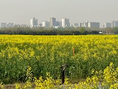 -汉长安城未央宫国家考古遗址公园