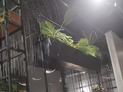 -鱼亨小鲜酸菜鱼(大信店)