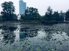 -四川大学(望江校区)