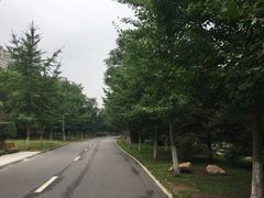 -长白岛森林公园