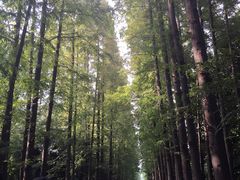 -上海植物园-4号门售票处