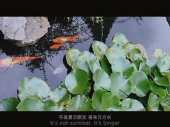 -華僑飯店中餐厅