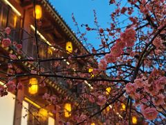 -香积寺