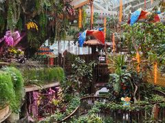 -正佳雨林生态植物园