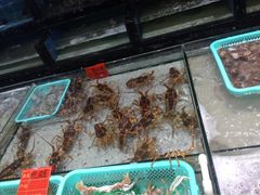 -渔傅·蓝海岸霞浦海鲜(正祥店)