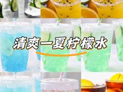 -有喵·猫咖·狗咖·30几只猫10只小狗(岗厦店)