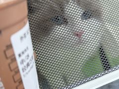 -星巴克臻选(深圳万象天地旗舰店)