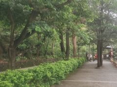 -东莞观音山旅游风景区