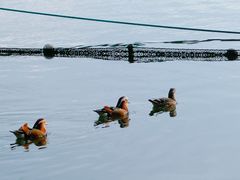 -青竺·青竹茶舍(断桥店)