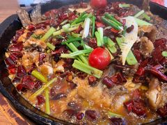 -老板恋上鱼(恒隆广场店)