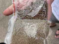 -九曲溪竹筏码头