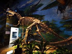 -自贡恐龙博物馆