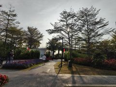 -福田红树林生态公园