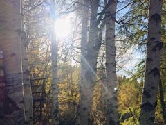 -塞罕坝国家级自然保护区