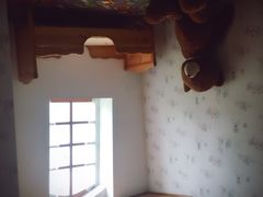 -金山农民画村-枫泾波兰倒置屋