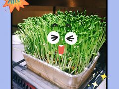 -海底捞火锅(天通苑华联店)
