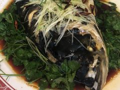 -旺顺阁鱼头泡饼(小红门店)