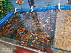 -渡海小渔村.老辈日照菜