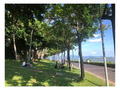 -深圳湾公园(南山区)