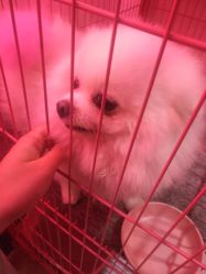 -M2匠心美甲美睫半永久