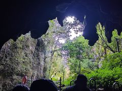 -怀托摩萤火虫洞