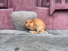 -西园戒幢律寺