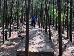 -云龙湖旅游景区