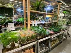 -宜家家居(西安未央商场店)