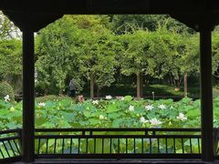 -上海醉白池公园