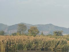 -良渚古城遗址公园