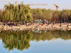 -大兴滨河森林公园