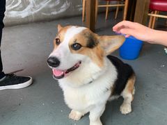 -阿尔法海鲜排档(爱琴海店)