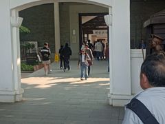 -长洲岛