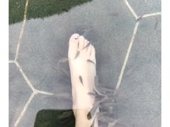 -苏州湾王焰温泉度假酒店