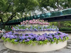 -徐家汇公园