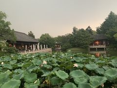 -湖滨28中餐厅·西湖宴·杭州君悦酒店