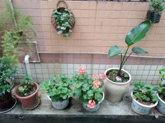 -四川大学(望江校区)