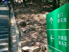 -火炉山森林公园