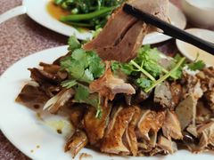 鹅肉-日日香卤鹅饭店·澄海狮头鹅(澄海店)