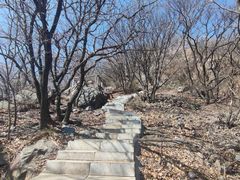 -棋盘山风景区